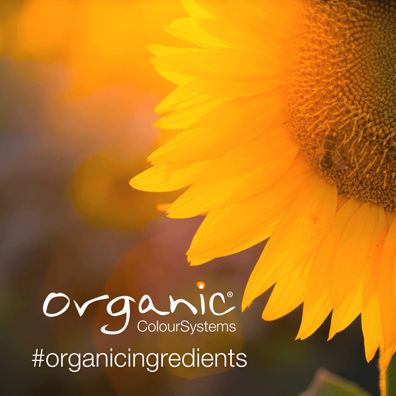 Organic Colour Systems Keep Curl Treatment 150ml