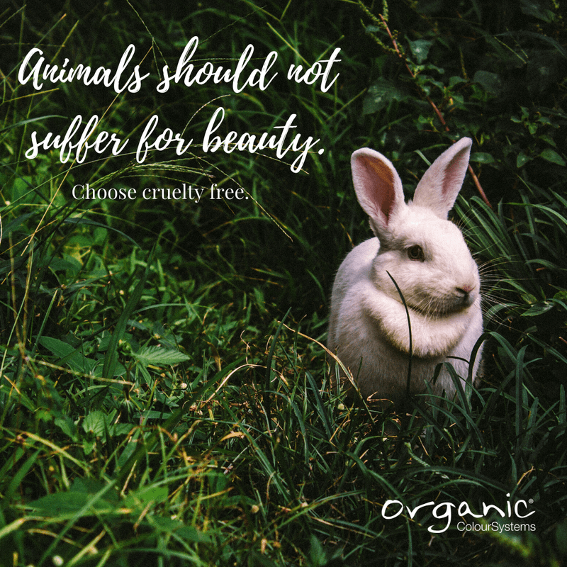 Organic Colour Systems Control Thermal 2 Twenty 200 ml