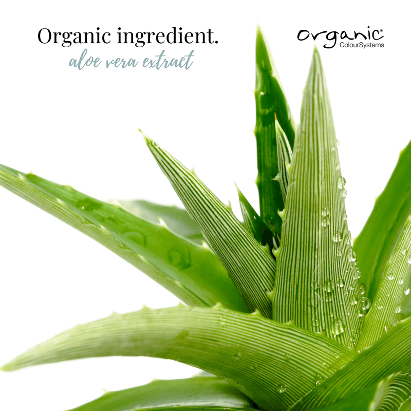 Organic Colour Systems Keep Curl Treatment 150ml